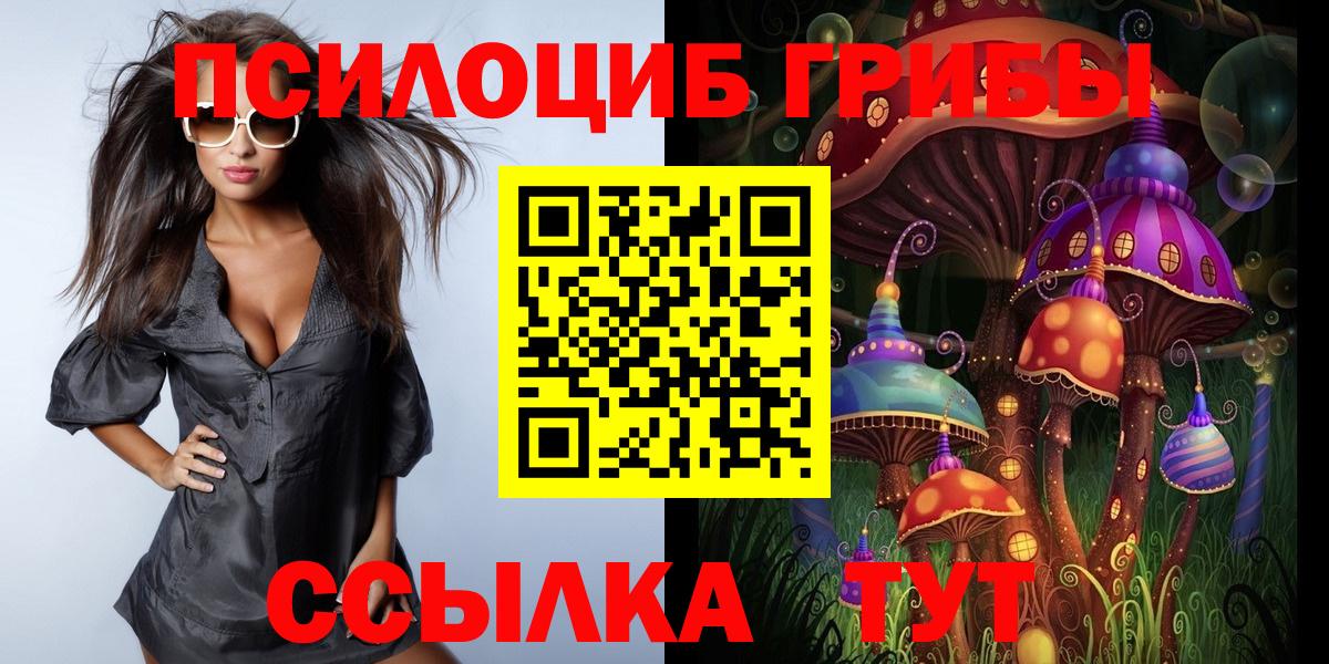 Галлюциногенные грибы Psilocybe  Вход с VPN  Качканар 