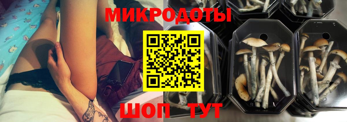 ГАШ  Вход с VPN  КОКАИН  ЭКСТАЗИ  Качканар  LSD-25  Меф МЯУ МЯУ   Марихуана  A-PVP СК  